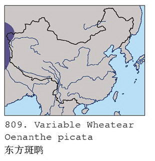 [东方]斑鵖的地理分布图