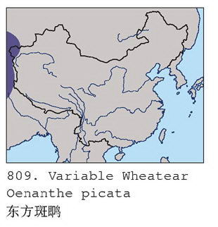 [东方]斑鵖的地理分布图