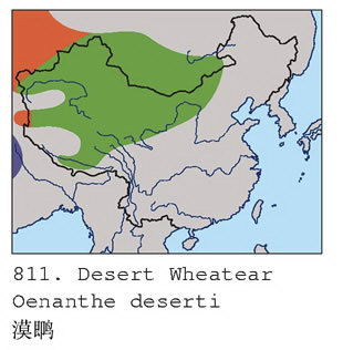 漠鵖的地理分布图