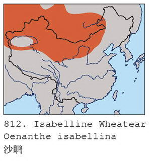 沙鵖的地理分布图