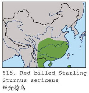 丝光椋鸟的地理分布图