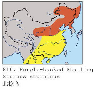 北椋鸟的地理分布图