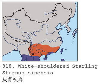 灰背椋鸟的地理分布图