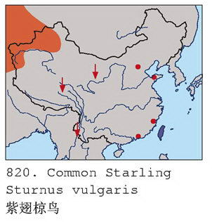 紫翅椋鸟的地理分布图