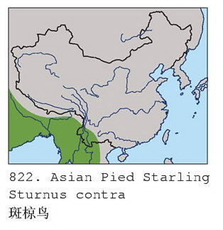 斑椋鸟的地理分布图