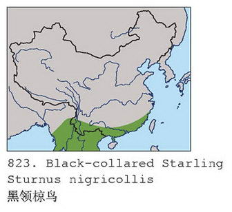 黑领椋鸟的地理分布图