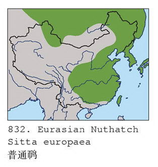 普通鳾的地理分布图