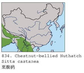 栗腹鳾的地理分布图