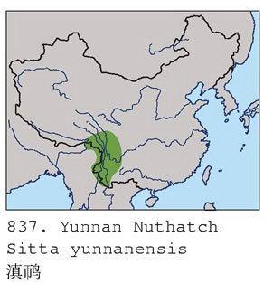 滇鳾的地理分布图