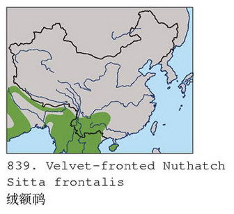 绒额鳾的地理分布图