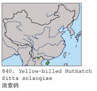 淡紫鳾的地理分布图