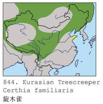 旋木雀的地理分布图