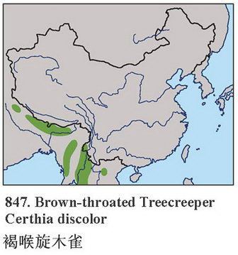 褐喉旋木雀的地理分布图