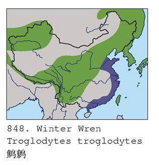 鹪鹩的地理分布图