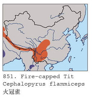 火冠雀的地理分布图