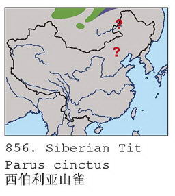 西伯利亚山雀的地理分布图