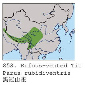 黑冠山雀的地理分布图