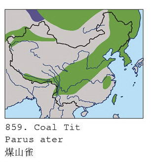 煤山雀的地理分布图