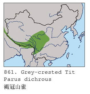 褐冠山雀的地理分布图