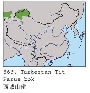 西域山雀的地理分布图