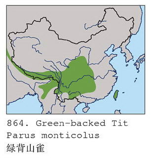 绿背山雀的地理分布图
