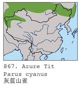 灰蓝山雀的地理分布图