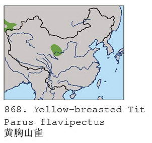 黄胸山雀的地理分布图