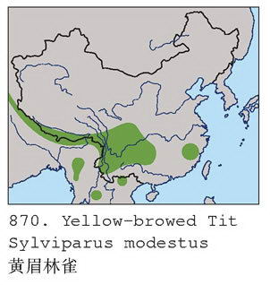 黄眉林雀的地理分布图