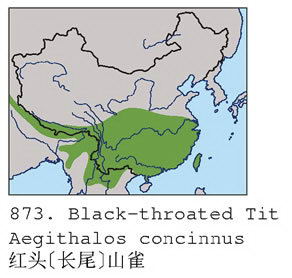 红头[长尾]山雀的地理分布图