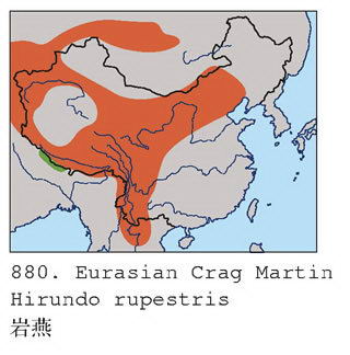 岩燕的地理分布图