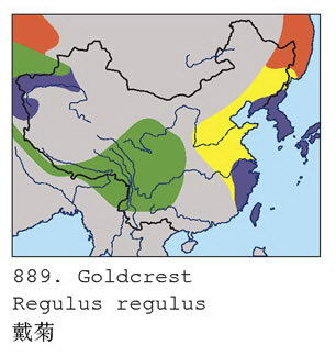 戴菊的地理分布图