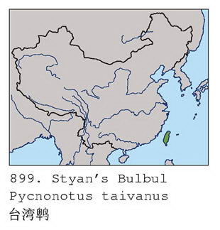 台湾鹎的地理分布图