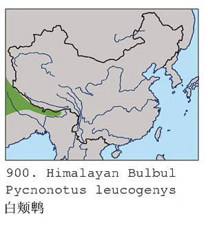 白颊鹎的地理分布图