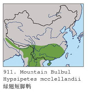 绿翅短脚鹎的地理分布图