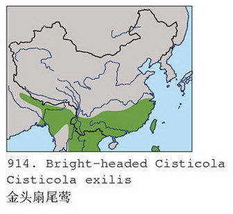 金头扇尾莺的地理分布图