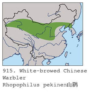 山鹛的地理分布图