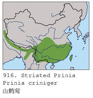 山鹪莺的地理分布图