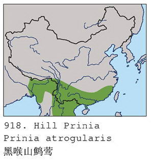 黑喉山鹪莺的地理分布图