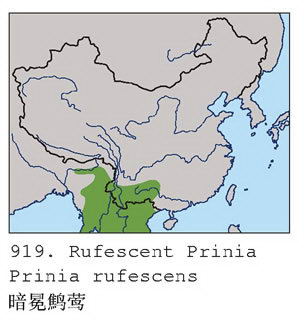 暗冕鹪莺的地理分布图