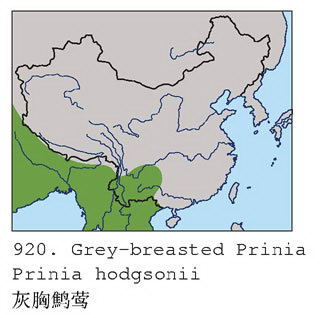 灰胸鹪莺的地理分布图