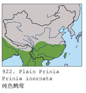 褐头鹪莺的地理分布图