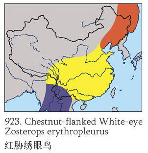 红胁绣眼鸟的地理分布图