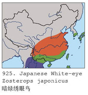 暗绿绣眼鸟的地理分布图