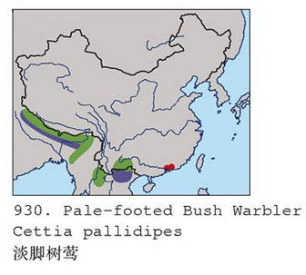 淡脚树莺的地理分布图