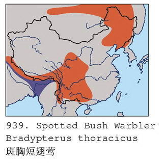 斑胸短翅莺的地理分布图