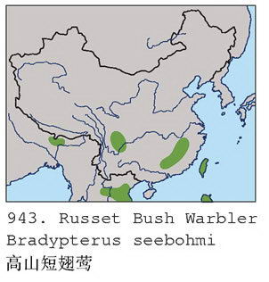 高山短翅莺的地理分布图