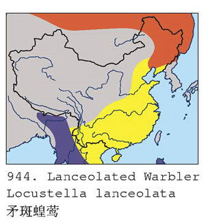 矛斑蝗莺的地理分布图