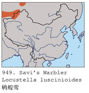 鸲蝗莺的地理分布图