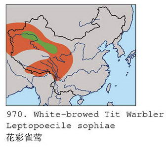 花彩雀莺的地理分布图