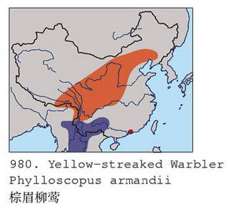 棕眉柳莺的地理分布图